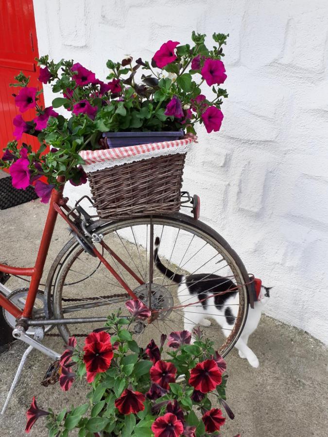 Cummins Cottages Ballycrossaun Dış mekan fotoğraf