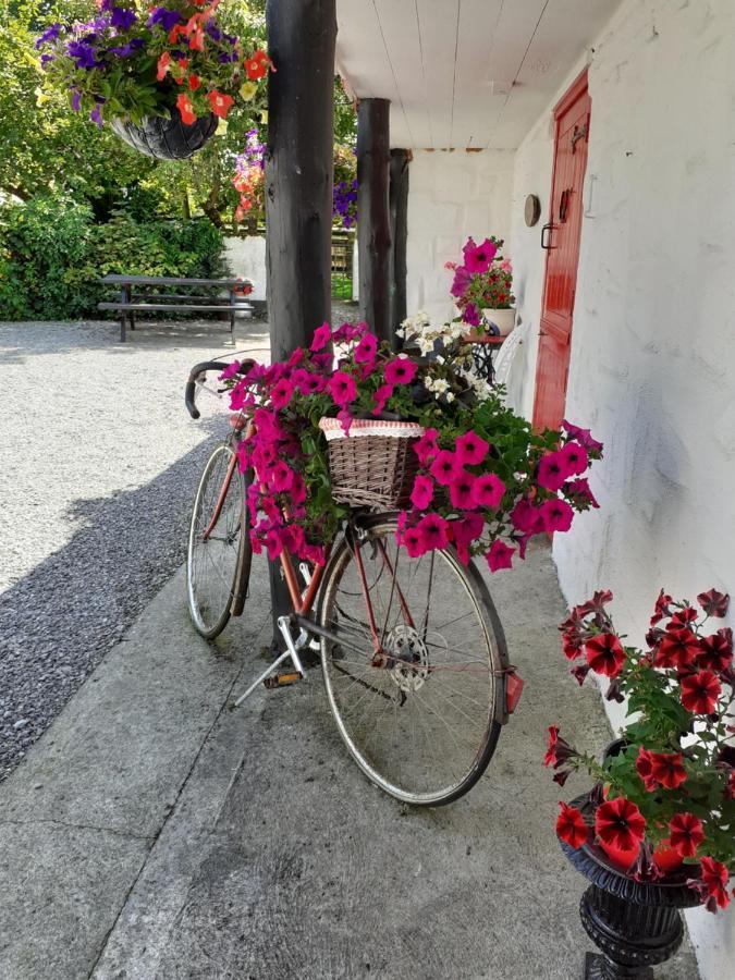 Cummins Cottages Ballycrossaun Dış mekan fotoğraf