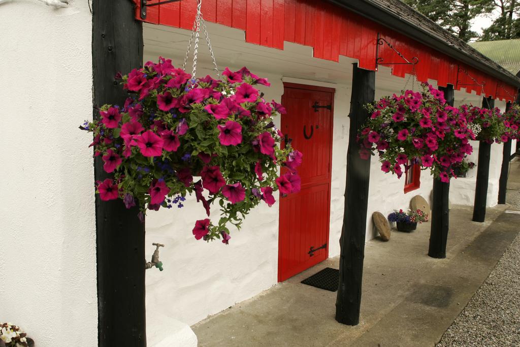 Cummins Cottages Ballycrossaun Dış mekan fotoğraf