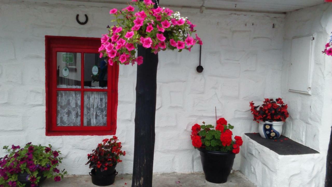 Cummins Cottages Ballycrossaun Dış mekan fotoğraf